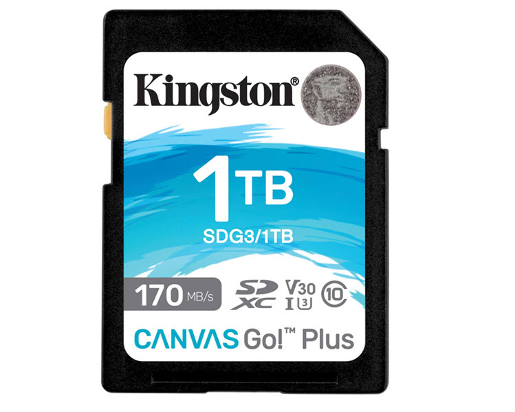 Milwaukee PC - Kingston Canvas Go! Plus SD - 1TB, 170MB/s, Class 10, UHS-I, U3, V30