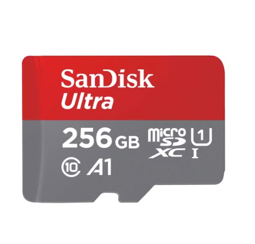 Milwaukee PC - SanDisk Ultra microSD 256GB w/Card reader